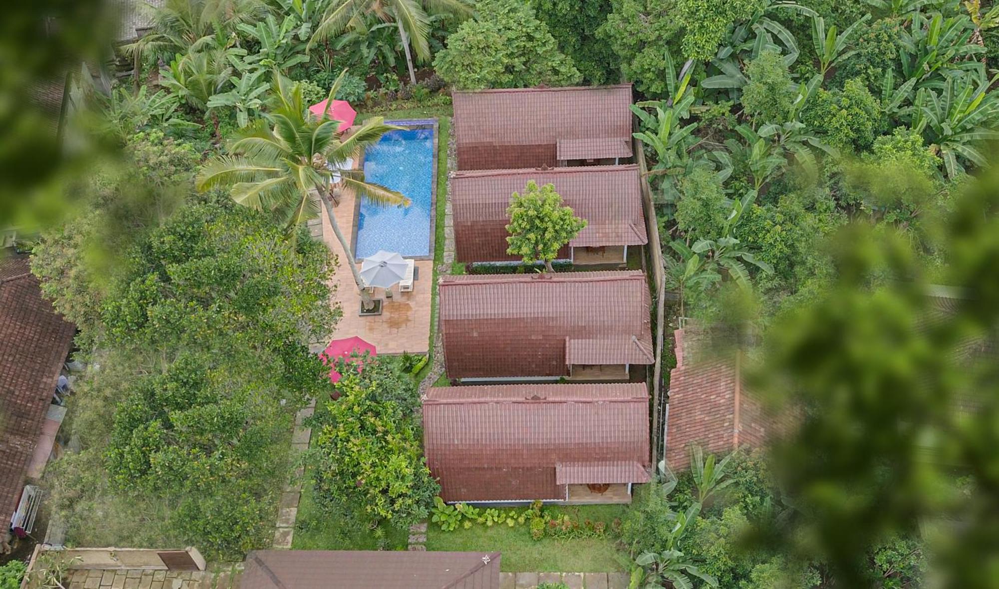 Nyamane View By Eps 4*